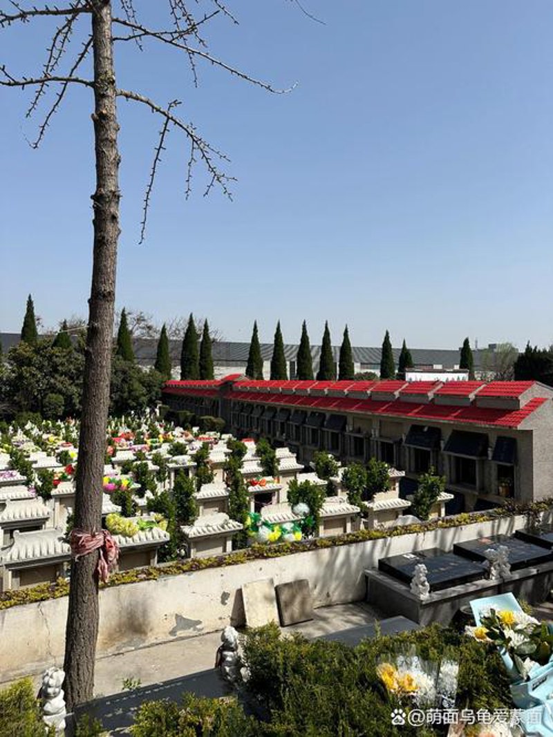 公墓价格：市场动态与趋势